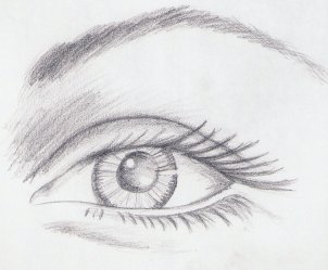 Pointers in Drawing the Eye (Diagram)